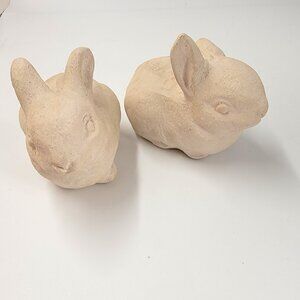 Set of  Bunny Rabbits